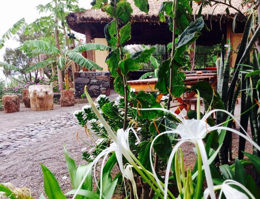 Ecolodge Kasa D'Igreja Cha da Igreja Bagian luar foto