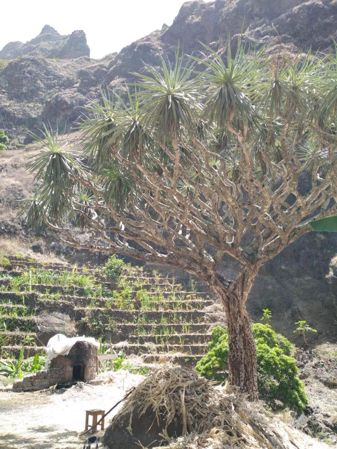 Ecolodge Kasa D'Igreja Cha da Igreja Bagian luar foto